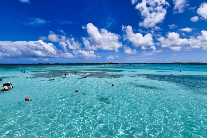 3-Hours Eye-Opening Stingray City Antigua - Transfer R/T included - Getting from St. John’s to Seaton’s, without it eating your day
