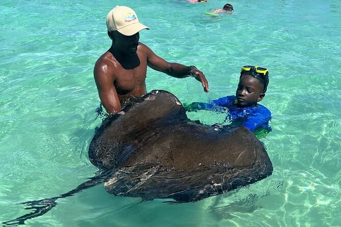 3-Hours Eye-Opening Stingray City Antigua - Transfer R/T included - Pickup and return in St. John’s: easy round-trip planning