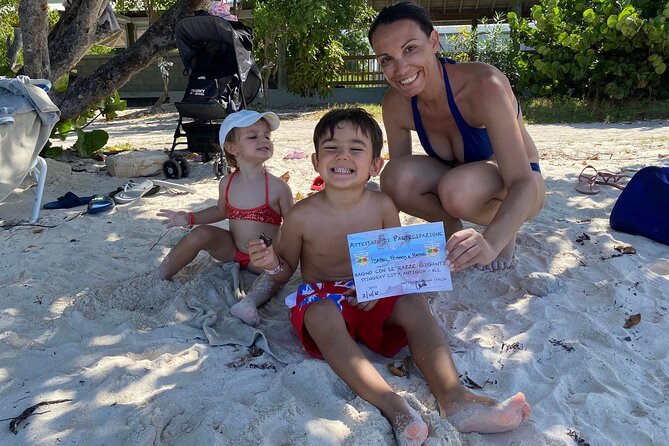 3-Hours Eye-Opening Stingray City Antigua - Transfer R/T included - Price and value: is $139.90 worth it?