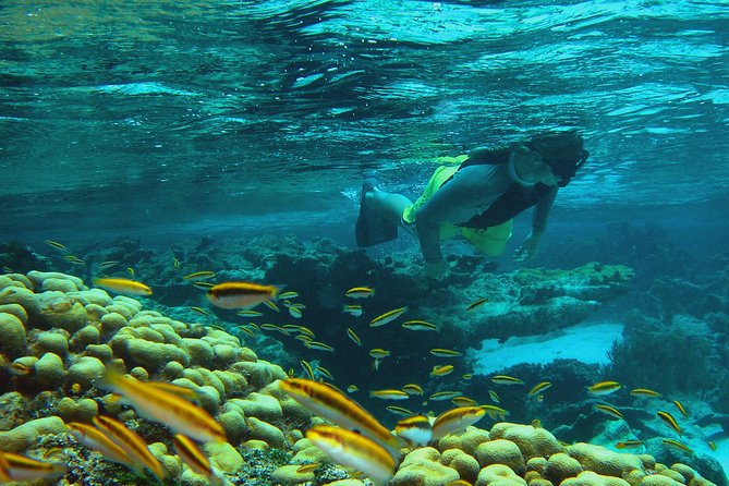 Adventure Antigua - Eli's Original Eco Tour - North Sound boat day: why this eco tour works
