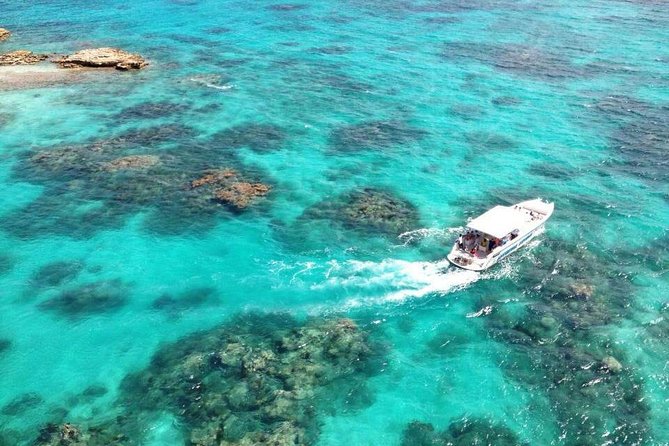 Adventure Antigua - Eli's Original Eco Tour - Long Bay (Jumby Bay Island): the turtle project talk that adds meaning