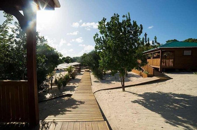 Adventure Power Boat Tour Antigua and Private Laviscount Island - Great Bird Island snorkeling: what to expect from the reef time