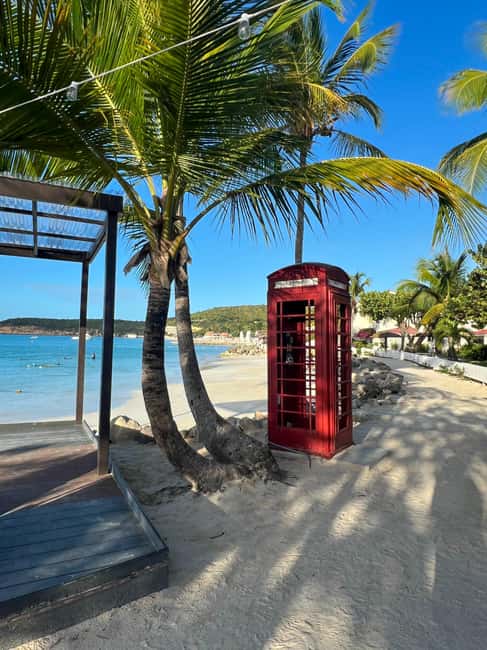 Antigua - Discover and Relax on 2 beaches - Laviscount Island Wildlife Viewing: The “Look, Don’t Rush” Stretch