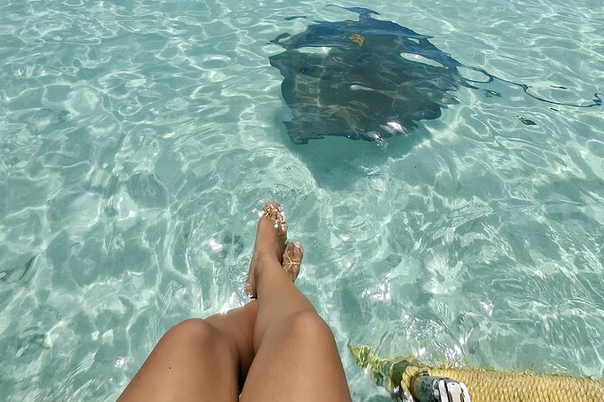 ANTIGUA FROM TOP TO BOTTOM: Stingray City, Beach, lunch & more... - A Half-Day That Covers Antigua’s Highlights Without Dragging