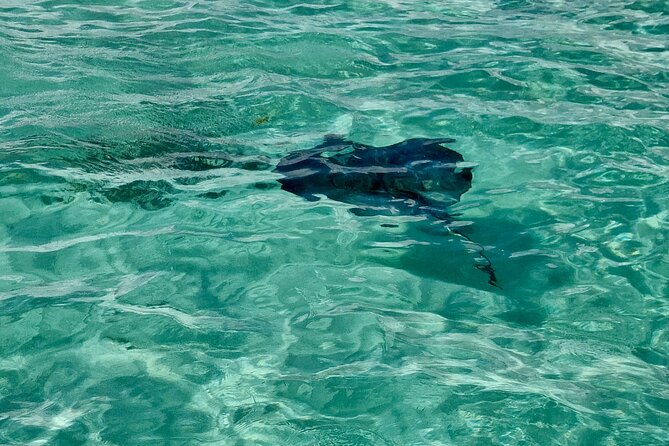 ANTIGUA FROM TOP TO BOTTOM: Stingray City, Beach, lunch & more... - Betty’s Hope: The Important History Stop That Fits the Day