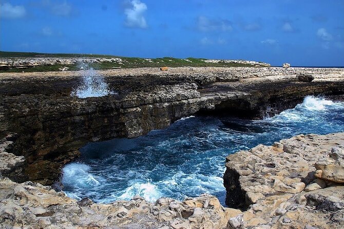 Antigua Historical Sites Island Tour - Shirley Heights: The View That Makes the Drive Worth It