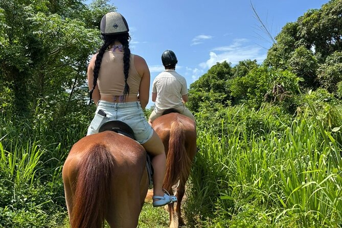 Antigua Horse Ride and Swim - Key Highlights You Should Know