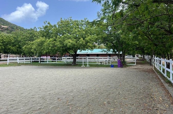 Antigua Horse Ride and Swim - Getting Started at Spring Hill Riding Club in Liberta
