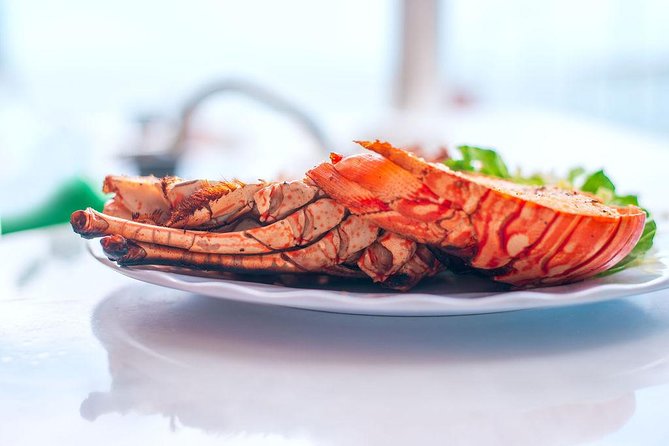 Antigua Seafood Lunch Cruise From St. John's - What You Actually Do at the Beach Stop