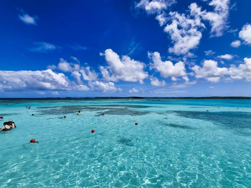 Antigua: Stingray City Experience with Round-Trip Transfer - Key things to know before you go