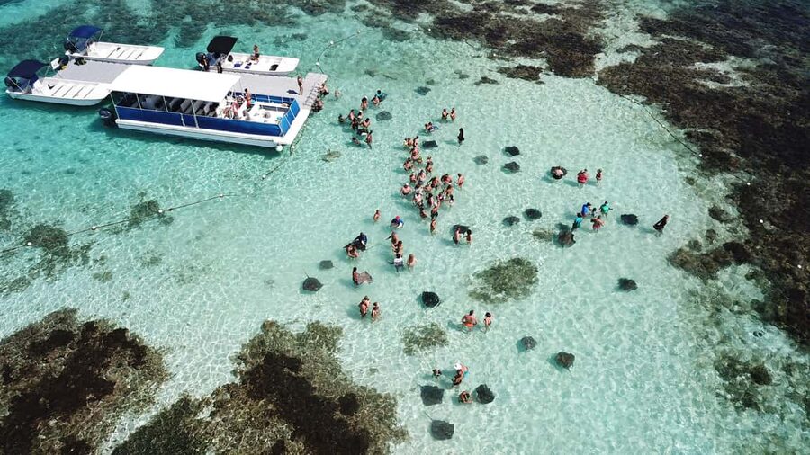 Antigua: Stingray City Experience with Round-Trip Transfer - Guides on your side, and how the day can improve in real time