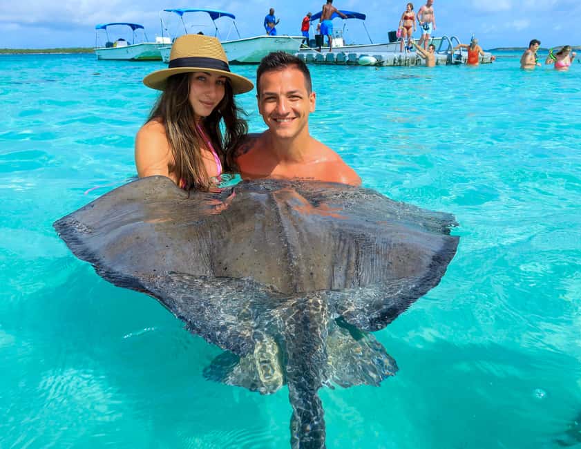 Antigua: Stingray City Experience with Round-Trip Transfer - Stingray City in Antigua, a wild encounter without cages