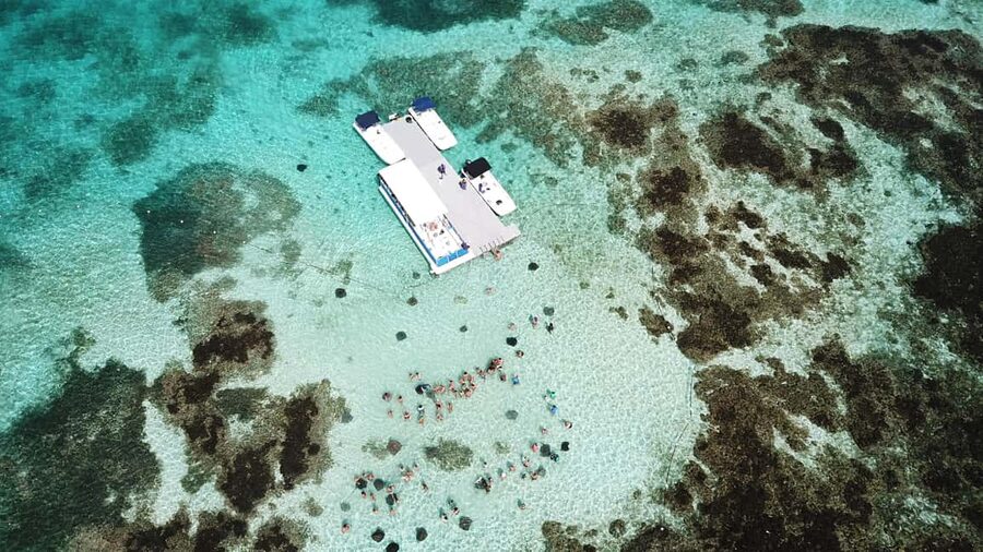 Antigua: Stingray City Experience with Round-Trip Transfer - Included snorkeling gear, cocktail drink, and what you should pack