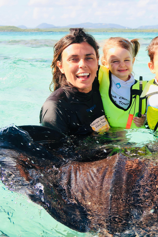 Antigua: Stingray City Experience with Round-Trip Transfer - Price and value, why $149 can make sense
