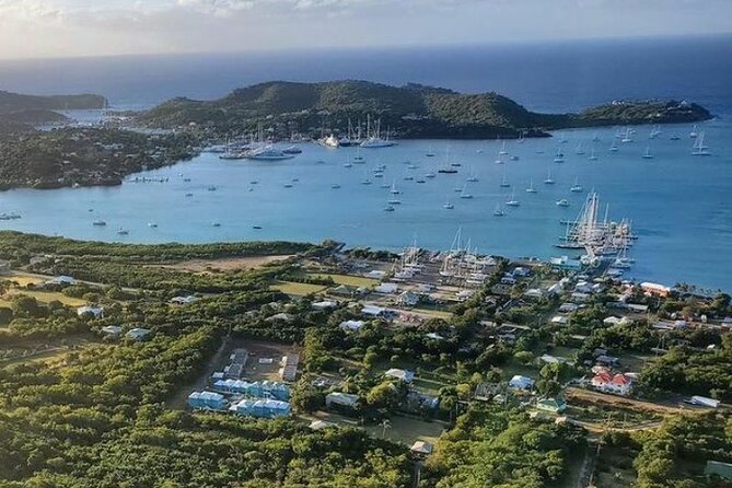 Antigua VIP Tours - Semi-Private Gold Tour - Stop 3: Devil’s Bridge and Antigua’s Sea-Carved Geometry