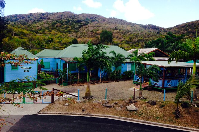 Antigua Zipline Canopy Adventure from St John’s - Snacks, Photo Rules, and the Certificate Moment