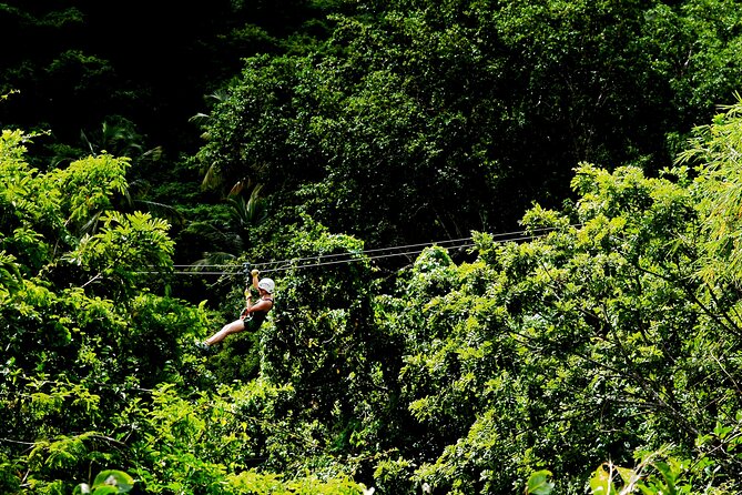 Antigua Zipline Canopy Adventure from St John’s - Price and Value, What You Pay For and What You Actually Get