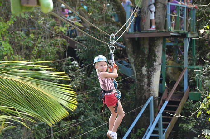 Antigua Zipline Canopy Adventure from St John’s - Weather and Timing, Plan for a Rainy-Afternoon Possibility