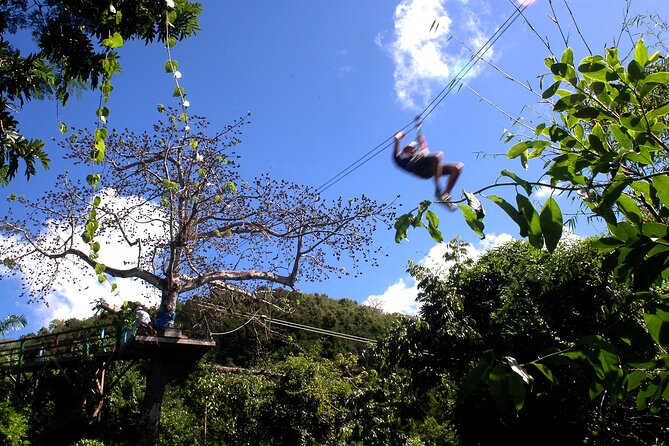Antigua Zipline Canopy Adventure from St John’s - The Course in Plain Terms, Ziplines, Rope Challenges, and Suspension Bridges