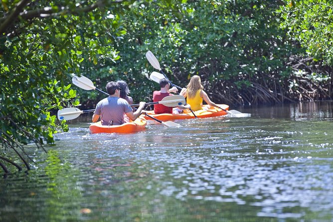 Antigua Zipline & Kayaking Combo From St. John's - Eco-Kayaking Through Mangroves in North Sound Marine Park
