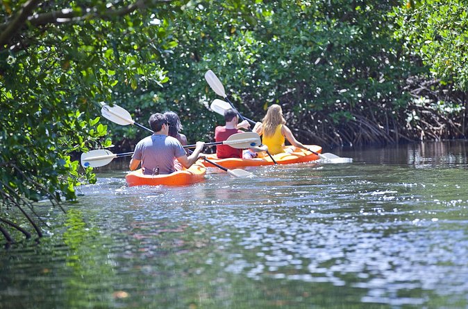 Antigua Zipline & Kayaking Combo From St. John's - What to Bring and How to Prepare (So You Enjoy Every Part)