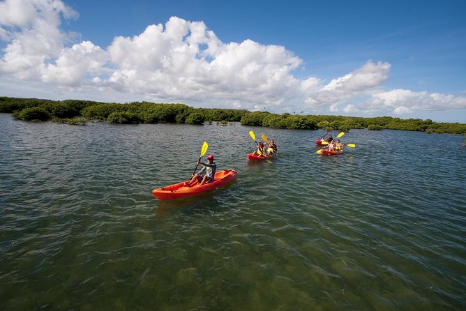 Antigua Zipline & Kayaking Combo From St. John's - Zipline Canopy Park on Fig Tree Drive: 8 Lines and Up to 300 ft.