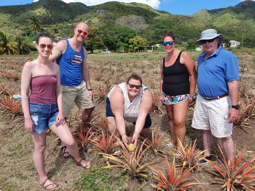 Antiguan experience home tour with local guide with lunch - Key highlights you should care about