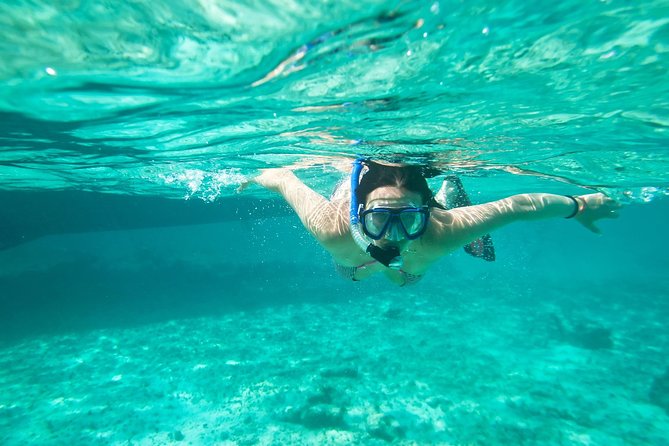 Cades Reef Snorkel Cruise from St. John's Antigua - Key Highlights I’d Plan Around
