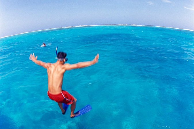 Cades Reef Snorkel Cruise from St. John's Antigua - Who Should Book This Cades Reef Cruise, and Who Might Prefer Something Else