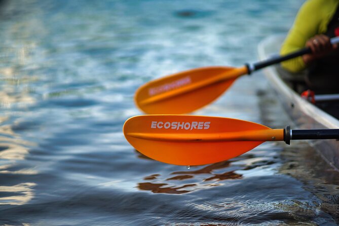 Clear Kayak Tour in Mangrove Antigua - First Paddle Into Osbourn’s Mangroves