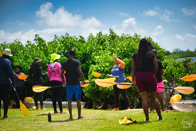 Clear Kayak Tour in Mangrove Antigua - What’s Included in the $90 Price, and Why It’s Fair