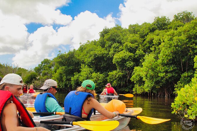 Clear Kayak Tour in Mangrove Antigua - Should You Book This Mangrove Clear Kayak Tour in Antigua?