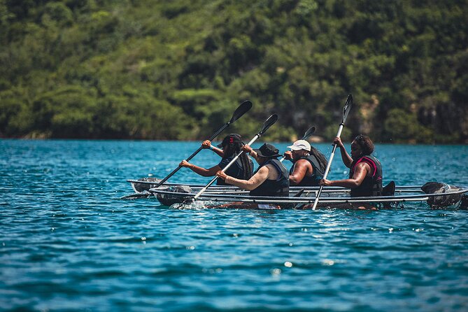 Crystal Kayak & Snorkel Eco Tour (with transfer) - Key Highlights You’ll Care About
