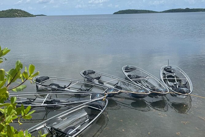 Crystal Kayak & Snorkel Eco Tour (with transfer) - Glass Kayaks Over Antigua’s Clear Water (And Why It’s Different)