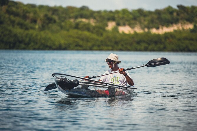 Crystal Kayak & Snorkel Eco Tour (with transfer) - Price, Timing, and Who This Suits Best