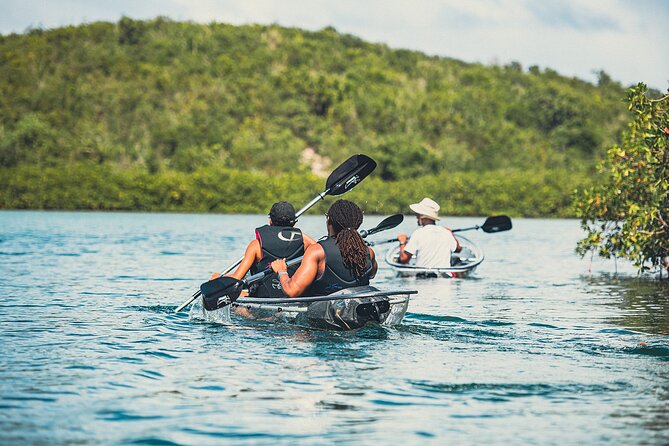 Crystal Kayak & Snorkel Eco Tour (with transfer) - What to Bring (So You Don’t Get Annoyed After the First Spray)