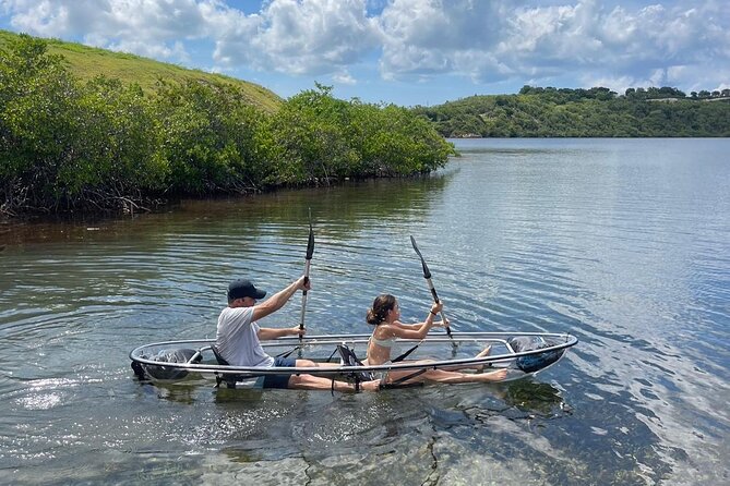Crystal Kayak & Snorkel Eco Tour (with transfer) - Starting in Mangroves: Calm Water, Real Wildlife, Real Learning