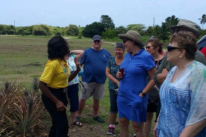 Cultural and Historical Home Tour in The Antiguan Experience - Stop 0 photo moment at the Museum of Antigua and Barbuda