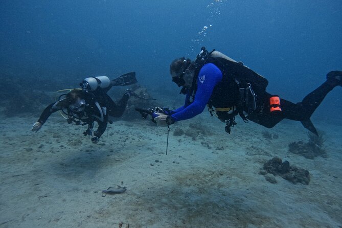 DiveCarib - An Eco-Friendly Certified Diver Trip in Antigua - Where you meet and how the day flows (8:30 am to back to dock)