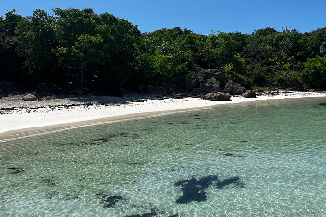 FANTASTIC Green Island and Sea Turtles - Half Day share boat trip - The 8:15 Start That Changes Everything