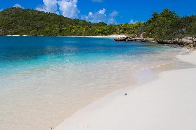 FANTASTIC Green Island and Sea Turtles - Half Day share boat trip - Stop 3 at Willikies: The Return Without the Rush