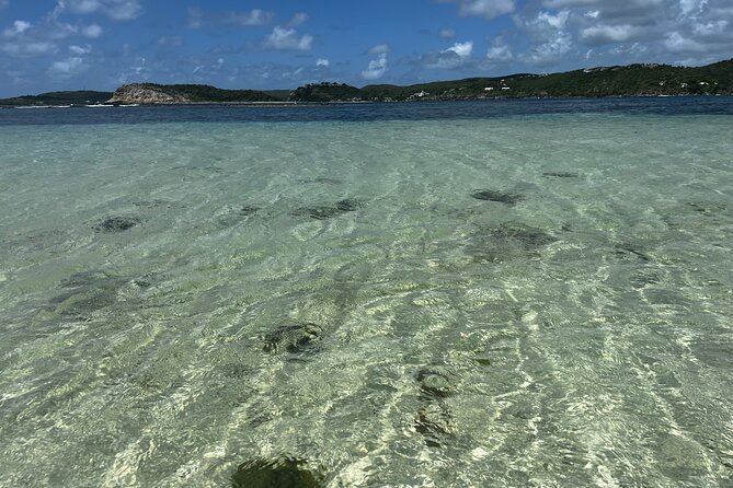 FANTASTIC Green Island and Sea Turtles - Half Day share boat trip - Snorkeling Gear Included: What You Should Bring (and What You Don’t Need to)