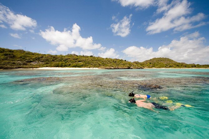 FANTASTIC Green Island and Sea Turtles - Half Day share boat trip - Food, Drinks, and the Value Question at $179.90