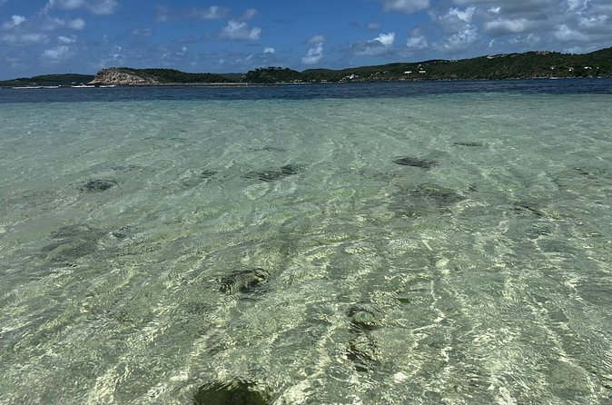 FANTASTIC Green Island and Sea Turtles - Half Day share boat trip - Who This Trip Suits Best (and When You Should Think Twice)
