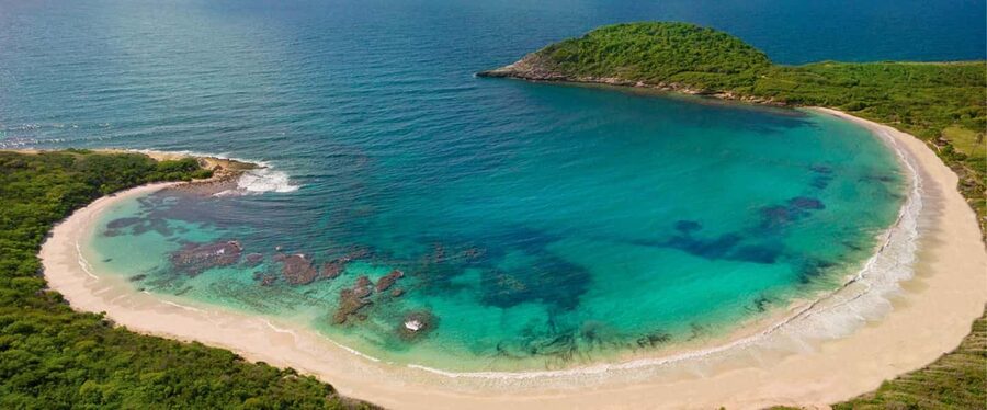 From St John's: Half Moon Bay Beach Half-Day Trip by Van - Key highlights at a glance