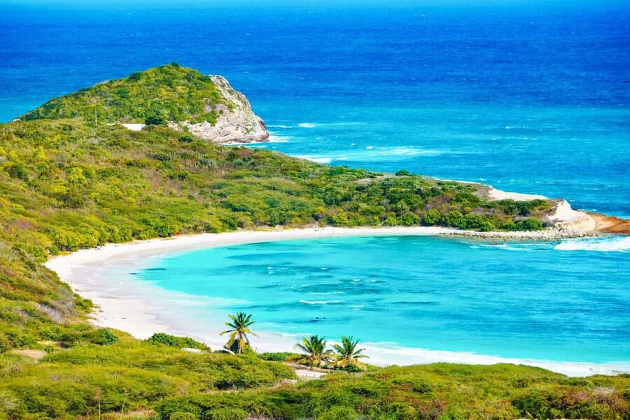 From St John's: Half Moon Bay Beach Half-Day Trip by Van - Why Half Moon Bay feels special from St John’s