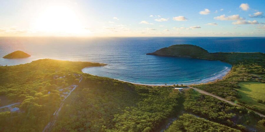From St John's: Half Moon Bay Beach Half-Day Trip by Van - Beach setup that actually saves time: umbrella, sunbed, water, and wine