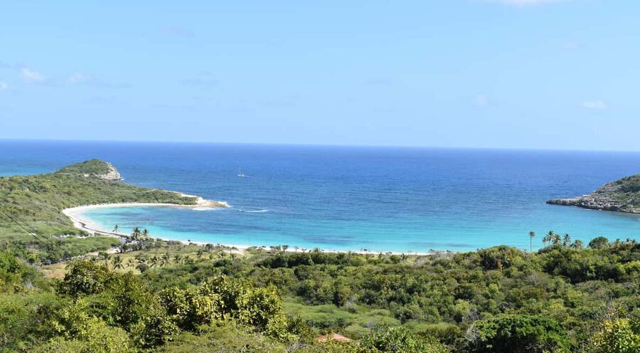 From St John's: Half Moon Bay Beach Half-Day Trip by Van - Who should book this Half Moon Bay half-day tour?