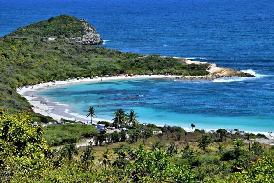 From St John's: Half Moon Bay Beach Half-Day Trip by Van - Should you book this Half Moon Bay van trip?