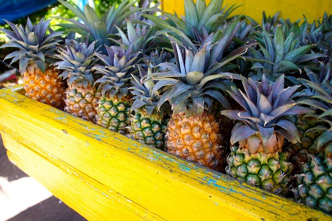 Half-Day Tour: A Taste of Paradise and History of Antigua - Stop Four: Nelson’s Dockyard, Antigua’s Maritime Side